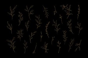 26 وکتور شاخه برگ طلایی خطی و برگ مینیمال - وکتور شاخه های طلایی ظریف