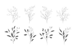 8 وکتور شاخه گل و برگ مینیمال - وکتور شاخه های ظریف
