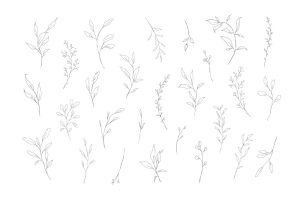 26 وکتور شاخه برگ خطی و برگ مینیمال - وکتور شاخه های برگدار ظریف
